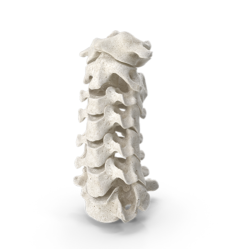 Neck Pain Relief