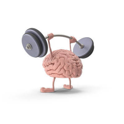 The Amygdala